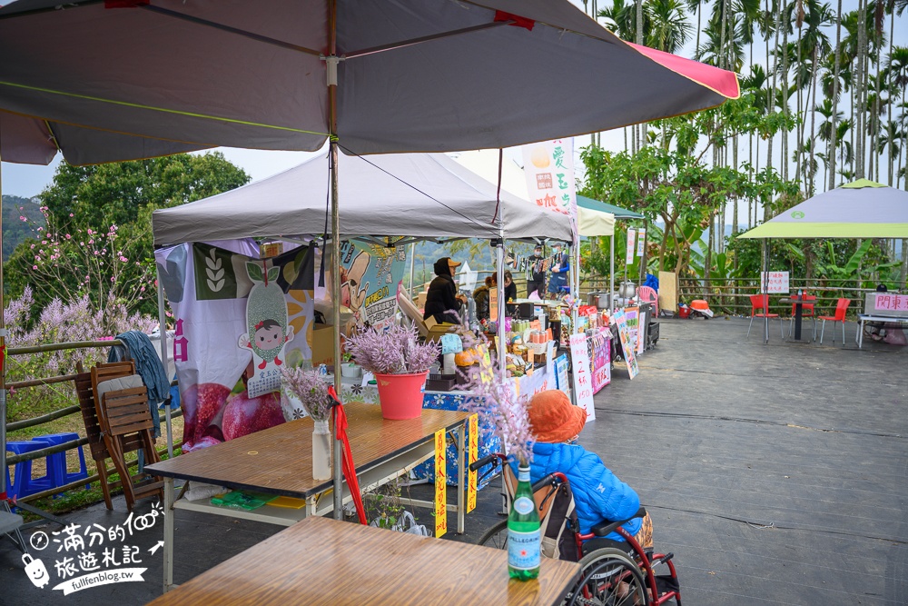 2024【瑰蜜甜心玫瑰園】中寮粉紅山丘麝香木最新花況.門票資訊拍照攻略.櫻花.九重葛.風鈴木.許願藤一起看最強花園秘境!