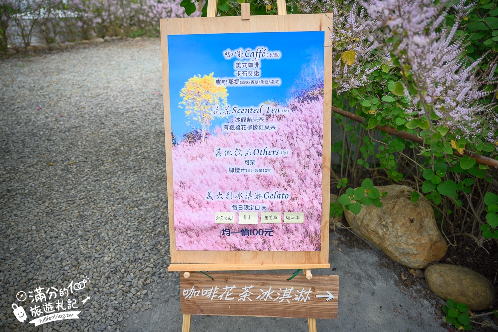 2024【瑰蜜甜心玫瑰園】中寮粉紅山丘麝香木最新花況.門票資訊拍照攻略.櫻花.九重葛.風鈴木.許願藤一起看最強花園秘境!