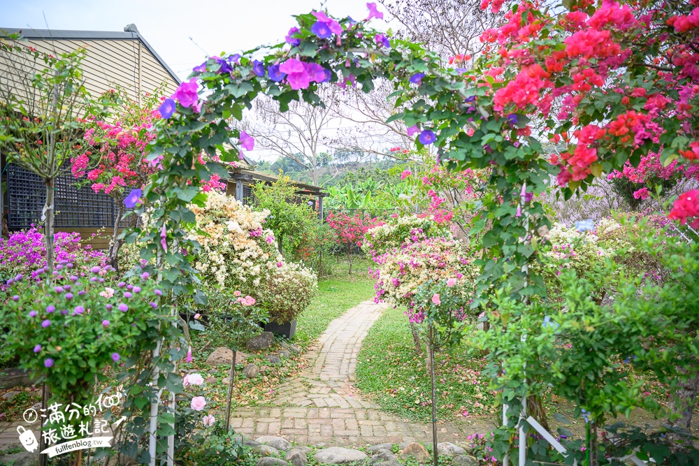 2024【瑰蜜甜心玫瑰園】中寮粉紅山丘麝香木最新花況.門票資訊拍照攻略.櫻花.九重葛.風鈴木.許願藤一起看最強花園秘境!