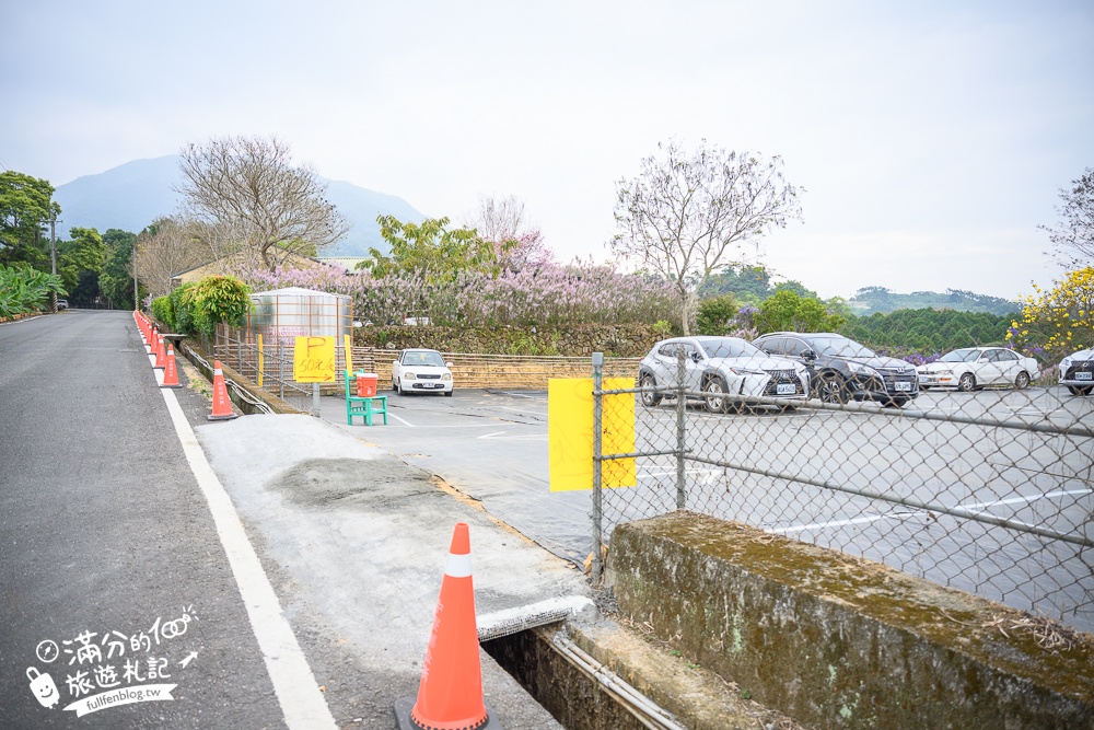 2024【瑰蜜甜心玫瑰園】中寮粉紅山丘麝香木最新花況.門票資訊拍照攻略.櫻花.九重葛.風鈴木.許願藤一起看最強花園秘境!