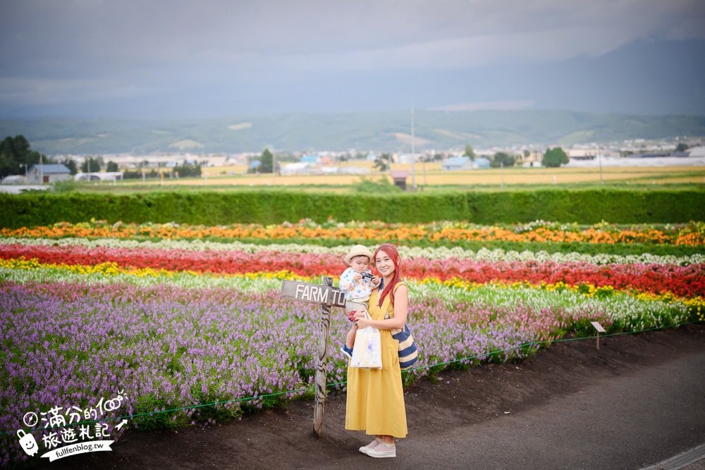 北海道必玩景點【富良野富田農場】日本最大薰衣草田.必吃薰衣草霜淇淋.繽紛七彩花海絕對震撼!