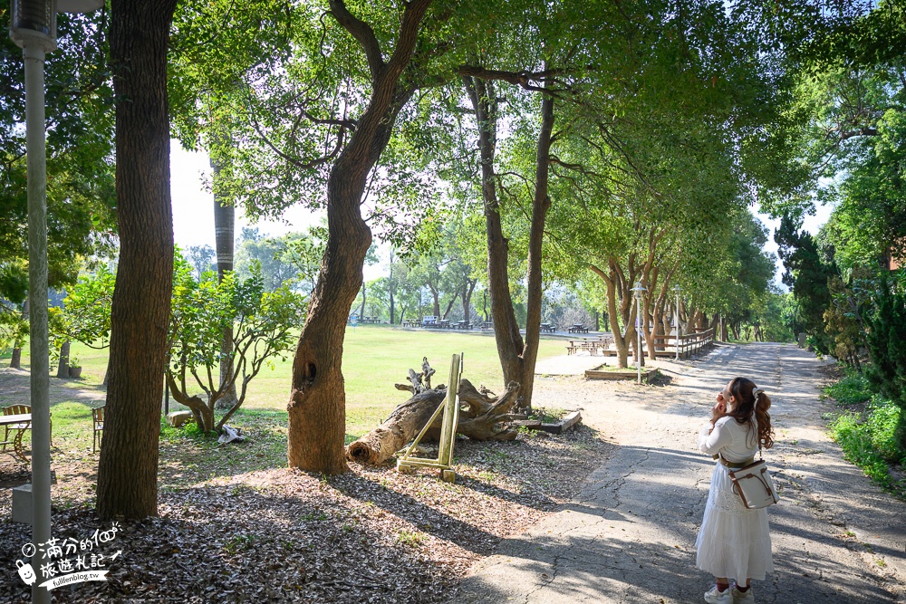 苗栗景點｜四方鮮乳牧場,竹南親子農場景點,體驗餵牛喝奶.擠奶.吃鮮乳火鍋~秒飛西部牛仔小鎮!