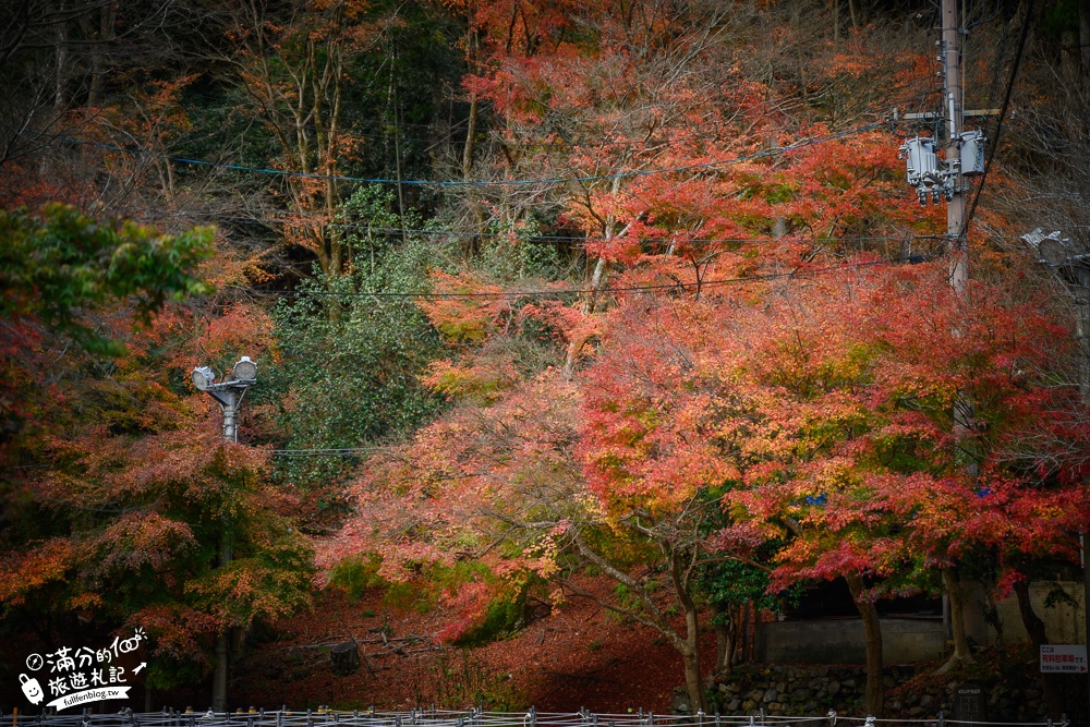 京都景點|鞍馬寺.鞍馬車站天狗|必拍鞍馬天狗地標.賞紅楓.搭山門電車~牛若丸源義經的修行之路!