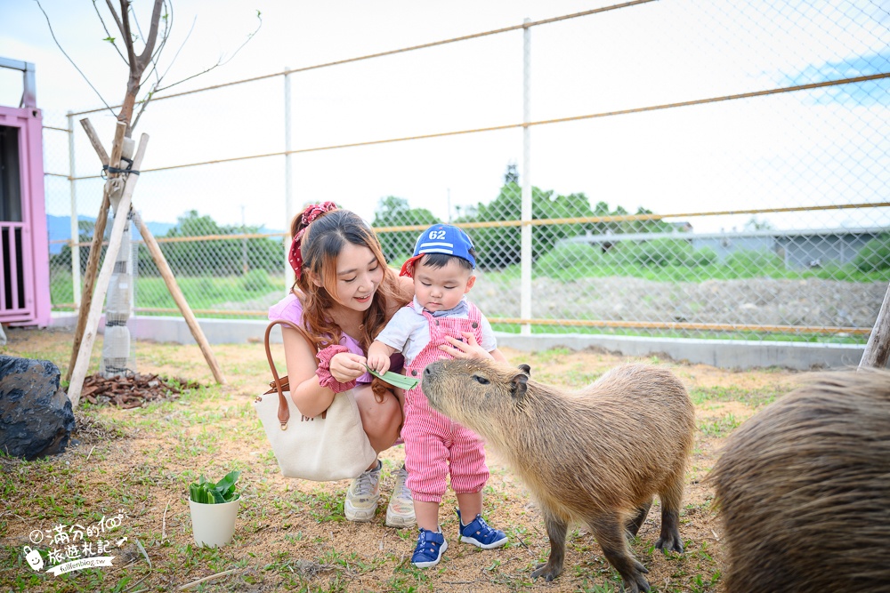 宜蘭景點【星夢森林劇場】宜蘭最美動物親子樂園,看小動物,玩水.搭小火車.拍貼一次滿足!