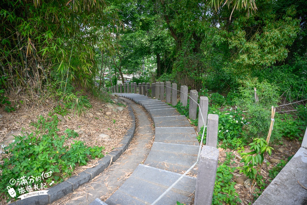 台中景點【水流東桐花步道】台中賞桐秘境.望高鐵.拍桐花浮雕彩繪~在地私房賞桐秘境!