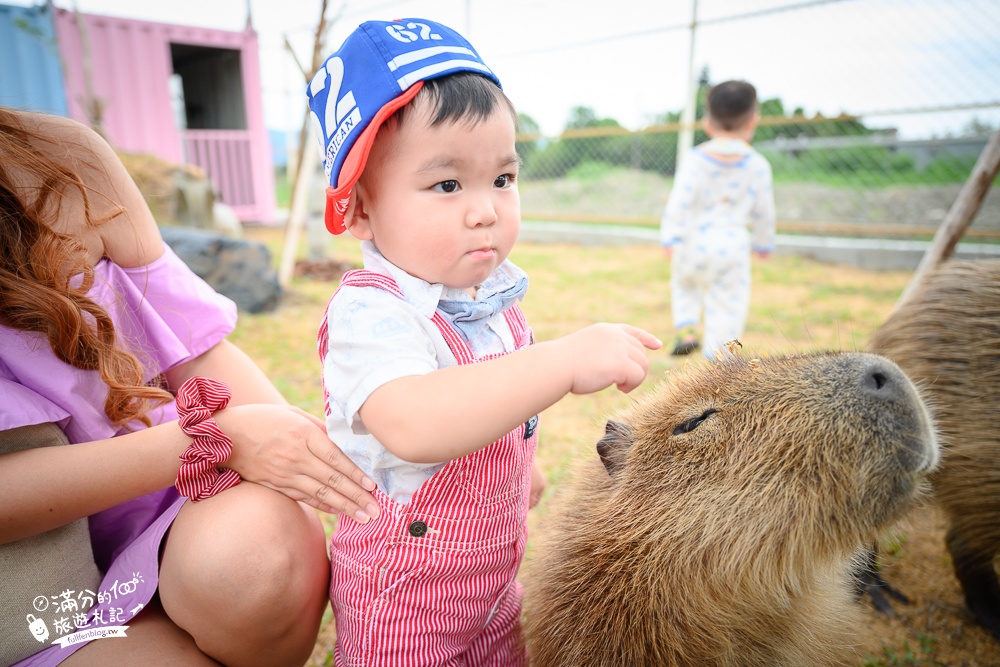 宜蘭景點【星夢森林劇場】宜蘭最美動物親子樂園,看小動物,玩水.搭小火車.拍貼一次滿足!