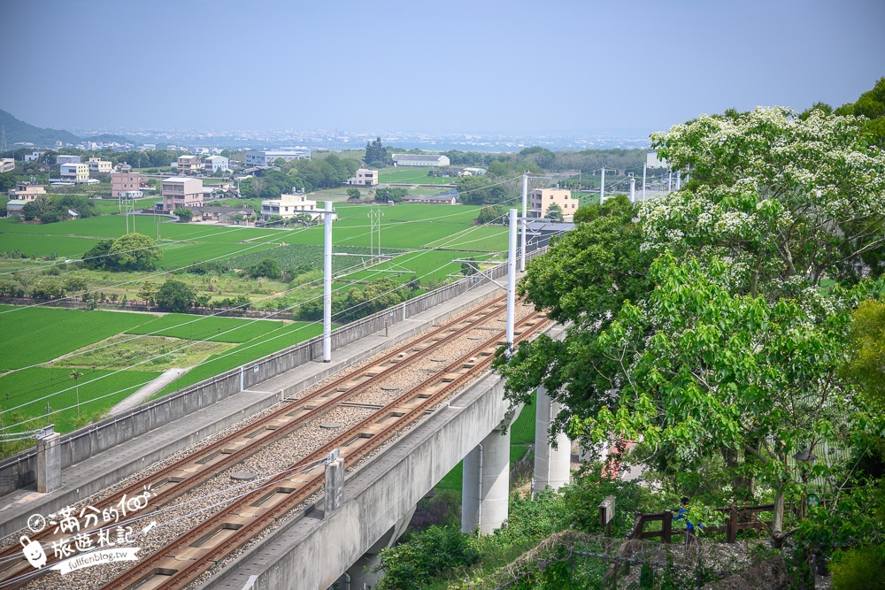 台中景點【水流東桐花步道】台中賞桐秘境.望高鐵.拍桐花浮雕彩繪~在地私房賞桐秘境!