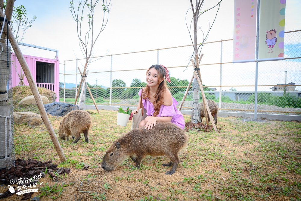 宜蘭景點【星夢森林劇場】宜蘭最美動物親子樂園,看小動物,玩水.搭小火車.拍貼一次滿足!