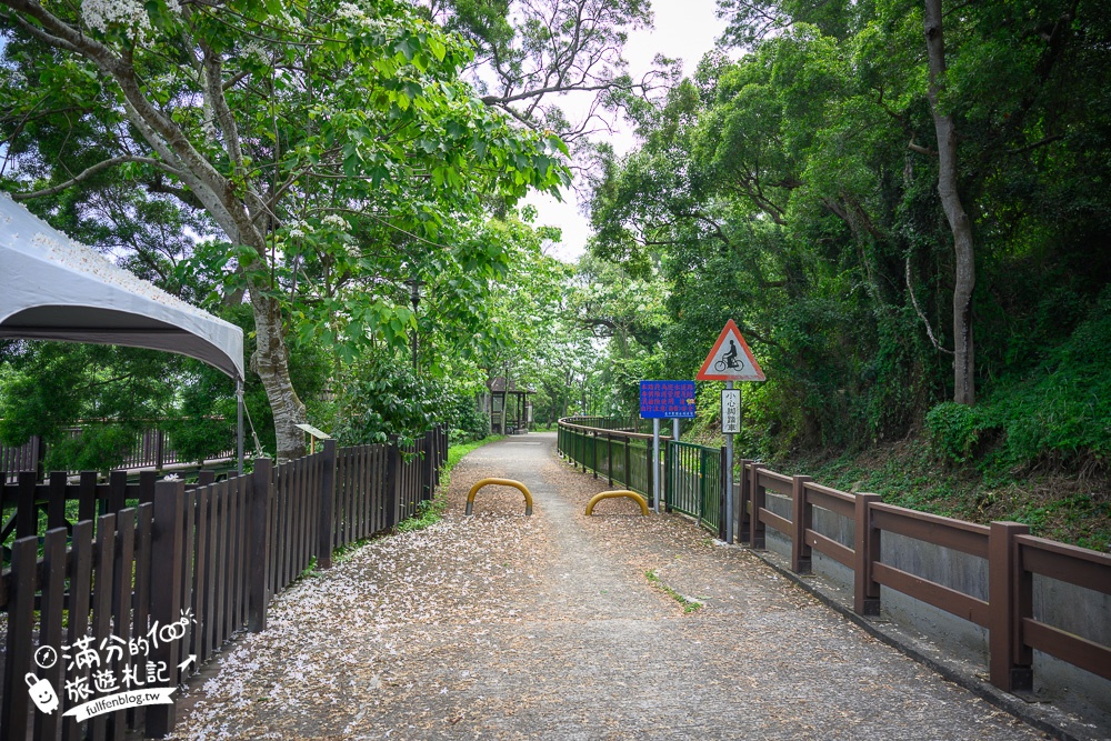 台中景點【水流東桐花步道】台中賞桐秘境.望高鐵.拍桐花浮雕彩繪~在地私房賞桐秘境!