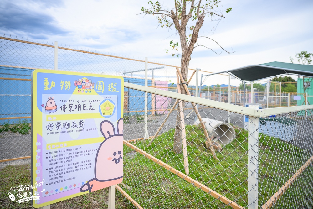 宜蘭景點【星夢森林劇場】宜蘭最美動物親子樂園,看小動物,玩水.搭小火車.拍貼一次滿足!