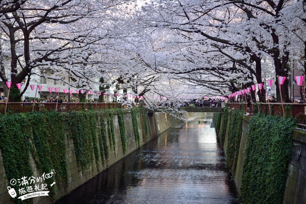 【2024東京目黑川賞櫻】目黑川櫻花季點燈活動,在地人帶路不可錯過的賞櫻祕境,還能看火車逛市集!