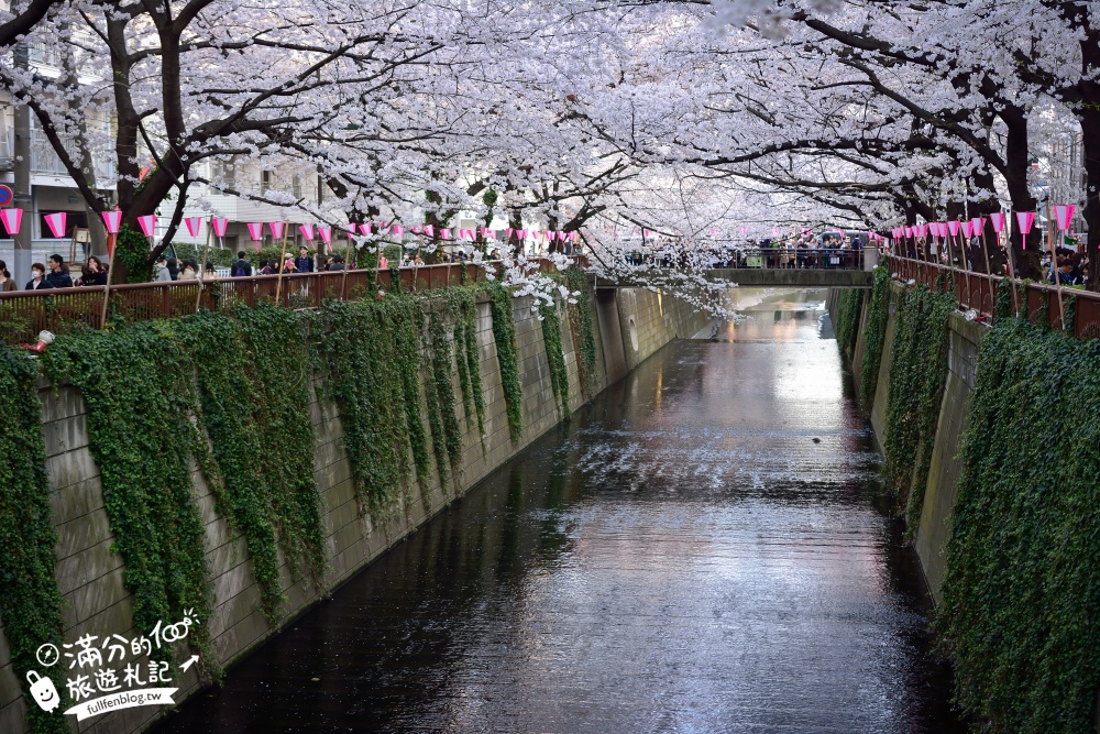 【2024東京目黑川賞櫻】目黑川櫻花季點燈活動,在地人帶路不可錯過的賞櫻祕境,還能看火車逛市集!