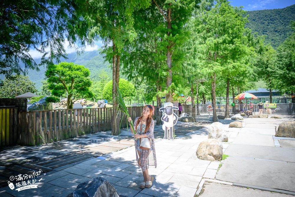 花蓮新景點【洄瀾灣親子動物區】洄瀾灣景觀餐廳親子農場,水豚大君出沒,笑笑羊.羊駝.象龜陪你玩,還能搭小火車遊園!