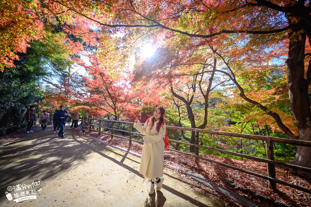 京都景點|北野天滿宮楓葉季.參拜學問之神~絕美紅楓步道,水上紅橋猶如小仙境!