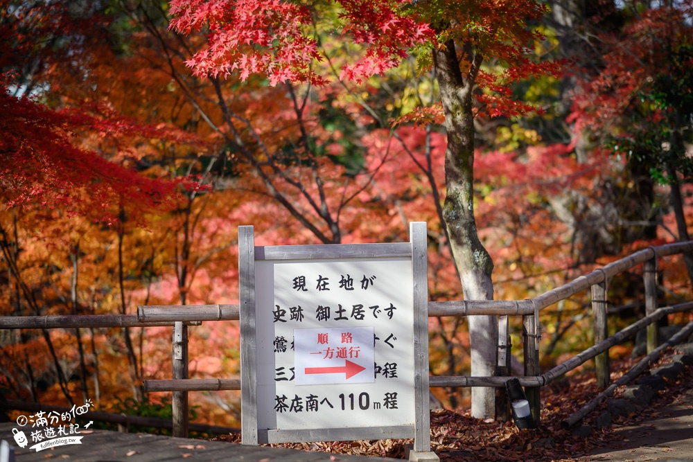 京都景點|北野天滿宮楓葉季.參拜學問之神~絕美紅楓步道,水上紅橋猶如小仙境!