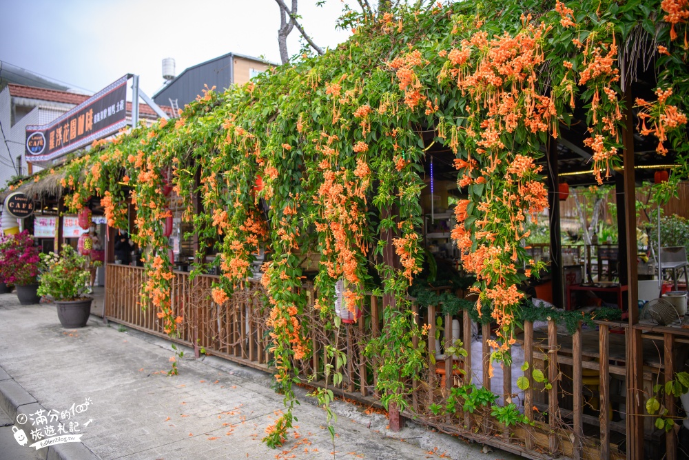 桃園景點 | 羅浮花園咖啡.藍鬍子,泡溫泉.吃風味餐.賞炮仗花～羅浮溫泉最美炮仗花屋！