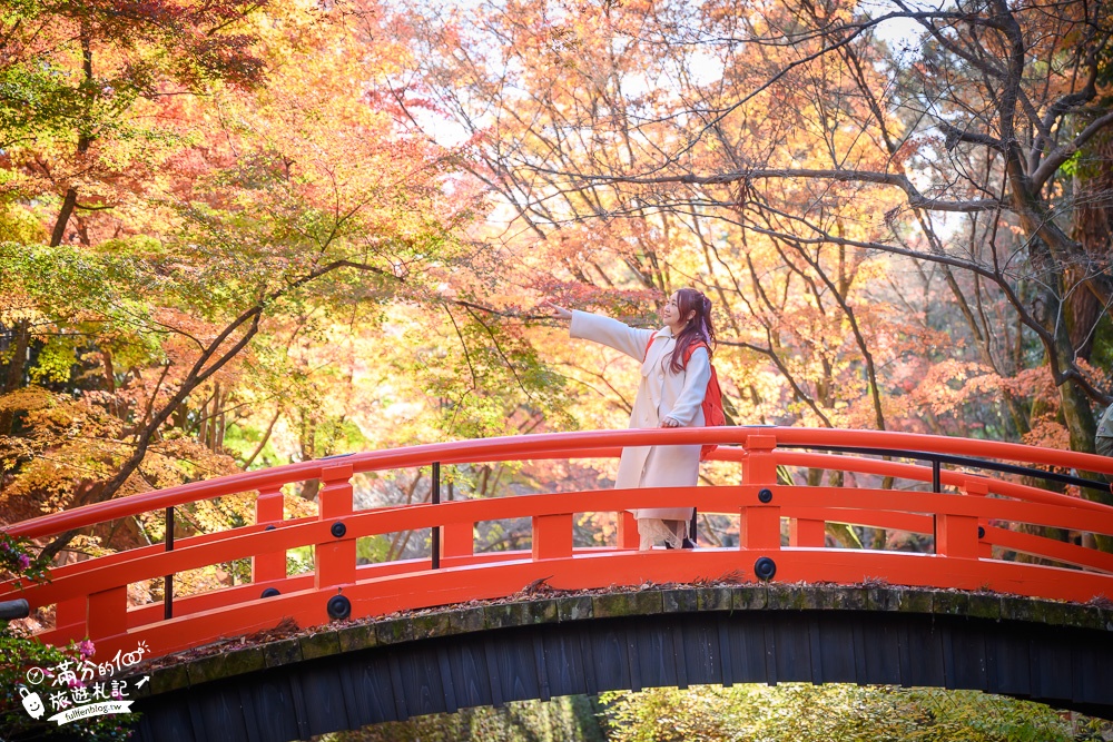 京都景點|北野天滿宮楓葉季.參拜學問之神~絕美紅楓步道,水上紅橋猶如小仙境!