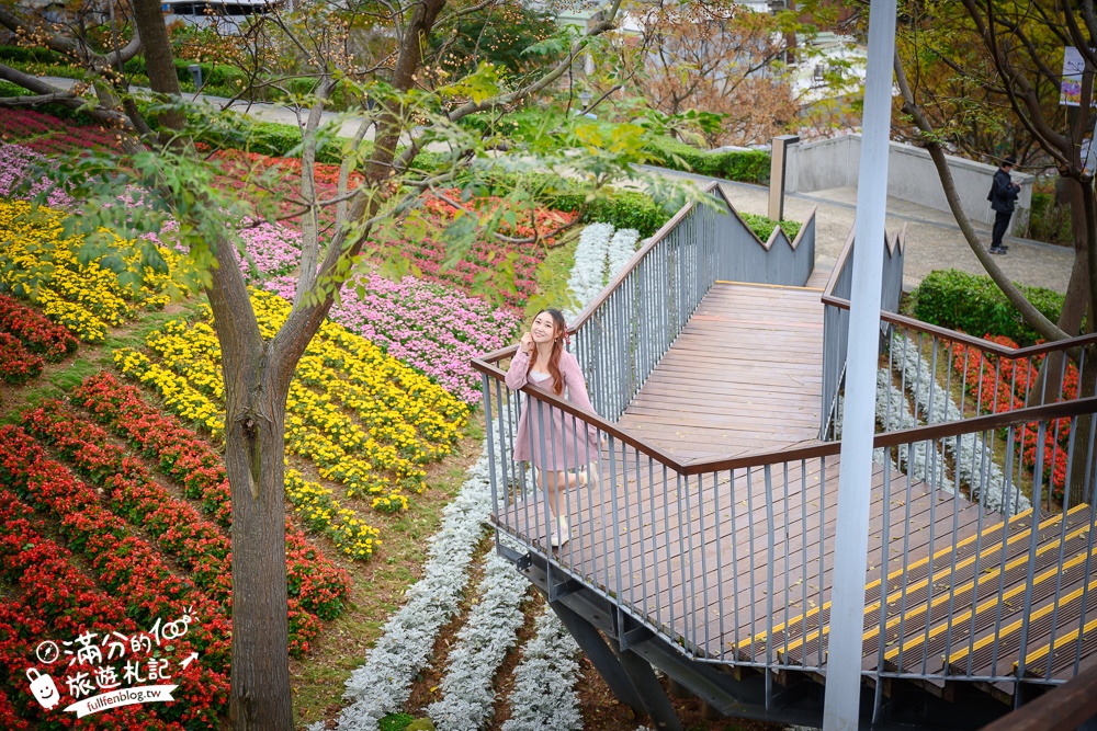 【2024北投社三層崎公園花海】最新花況,彩虹花毯鞦韆必拍,免出國~秒置身北海道富良野花園!