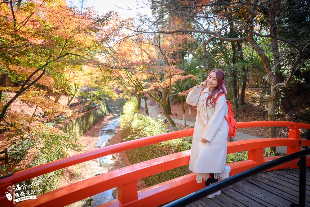 京都景點|北野天滿宮楓葉季.參拜學問之神~絕美紅楓步道,水上紅橋猶如小仙境!