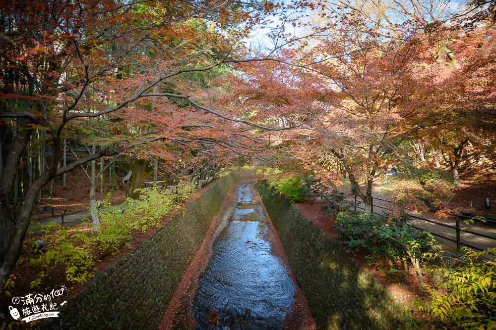 京都景點|北野天滿宮楓葉季.參拜學問之神~絕美紅楓步道,水上紅橋猶如小仙境!