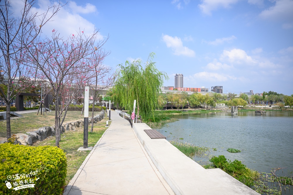 台中景點》湧泉公園(免門票)台糖湖濱生態步道,必拍滿月指輪水上天橋, 帝國製糖廠臺中營業所秘境湖畔!