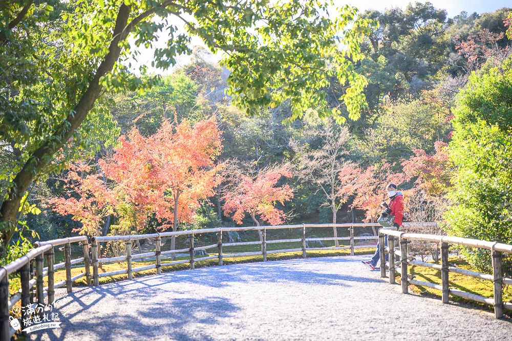 京都景點|金閣寺.京都周邊景點攻略,金箔打造的鏡湖宮殿,賞金宮.吃金箔抹茶冰~漫遊最美人間淨土!