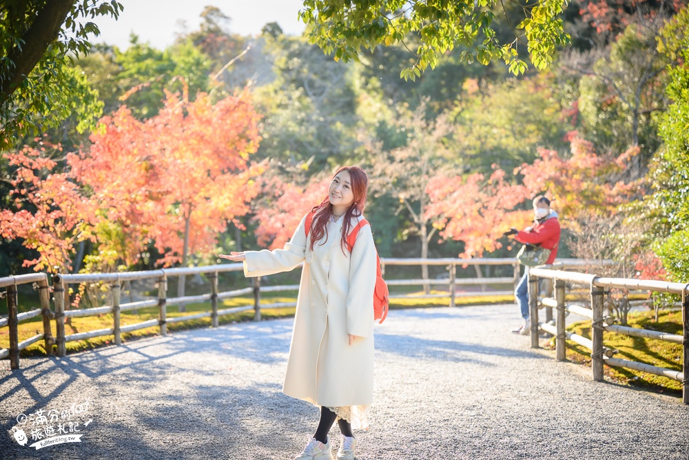 京都景點|金閣寺.京都周邊景點攻略,金箔打造的鏡湖宮殿,賞金宮.吃金箔抹茶冰~漫遊最美人間淨土!