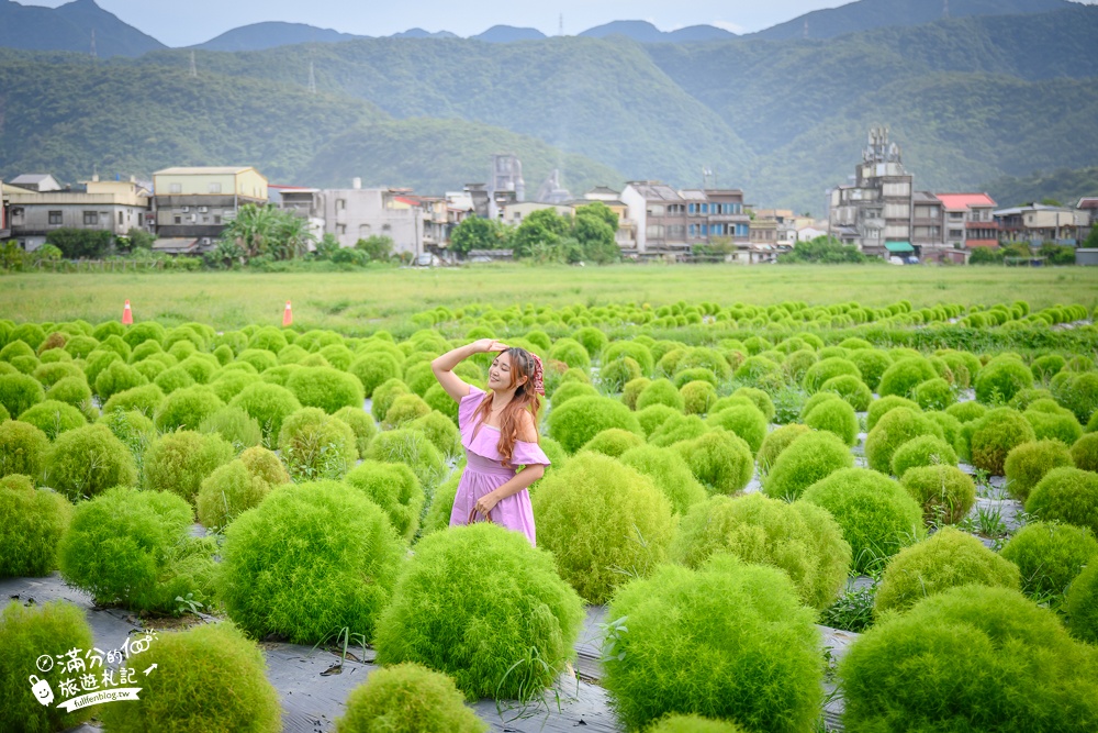 宜蘭冬山火車站橋邊波波草(免門票)宜蘭羊角村最新夯點!冬山河道抹茶小丸子,看火車.望山景.浪漫彩繪屋!