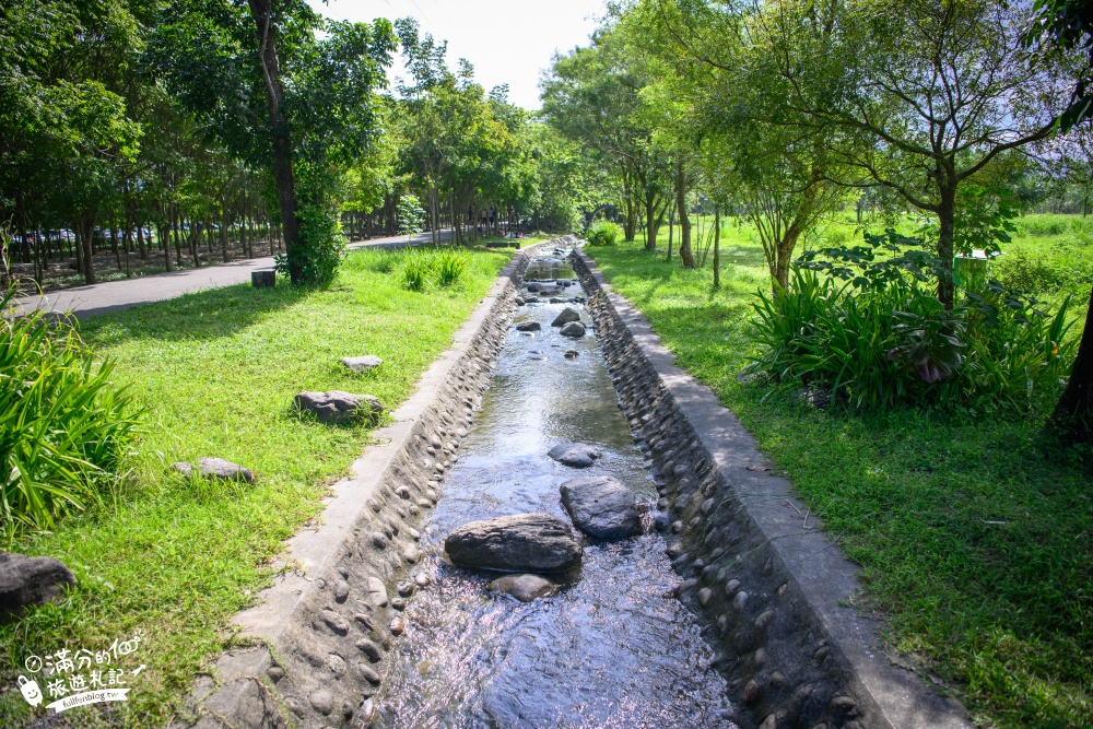 屏東景點【林後四林平地森林園區】免門票天然野溪玩水.森林步道.木雕藝術~休閒散步好去處!