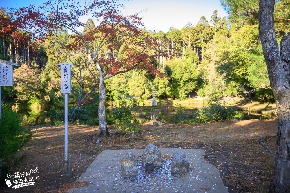 京都景點|金閣寺.京都周邊景點攻略,金箔打造的鏡湖宮殿,賞金宮.吃金箔抹茶冰~漫遊最美人間淨土!