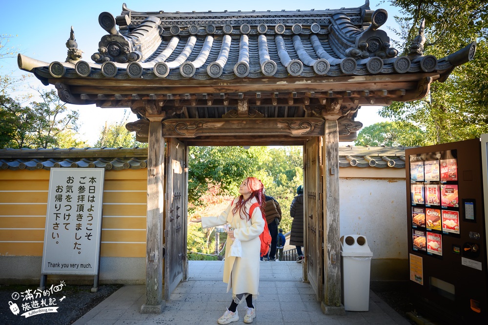 京都景點|金閣寺.京都周邊景點攻略,金箔打造的鏡湖宮殿,賞金宮.吃金箔抹茶冰~漫遊最美人間淨土!