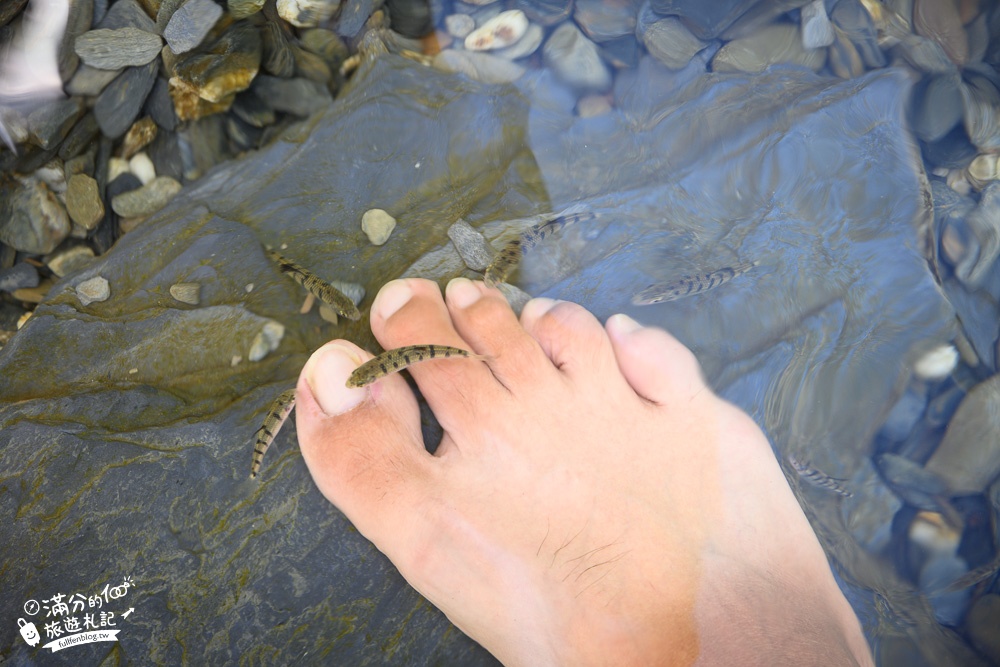 【台東延平蝴蝶谷秘境】免門票天然戲水池,賞蝴蝶泡腳~享受魚吃腳皮好放鬆!