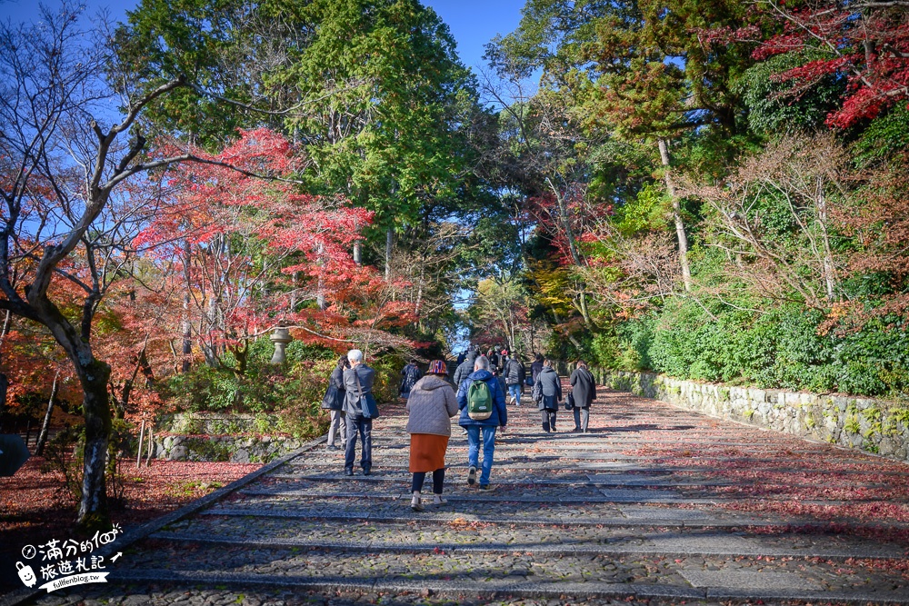 京都景點|光明寺|京都賞楓秘境.免費行李寄放,絕美紅楓步道.繽紛花手水,貓頭鷹寺院超夢幻!