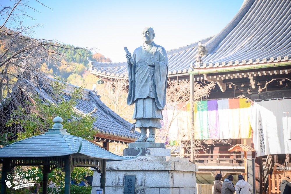 京都景點|光明寺|京都賞楓秘境.免費行李寄放,絕美紅楓步道.繽紛花手水,貓頭鷹寺院超夢幻!