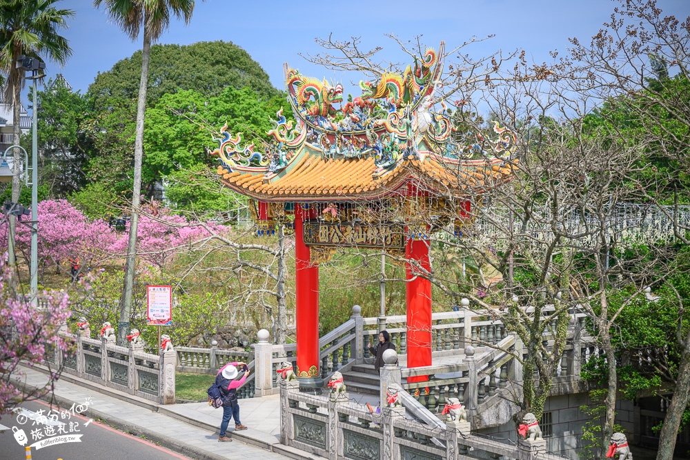 【2024竹林山觀音寺櫻花季】竹林山寺最新花況.吉野櫻盛開.浪漫櫻花公園,拜觀音媽賞櫻花!