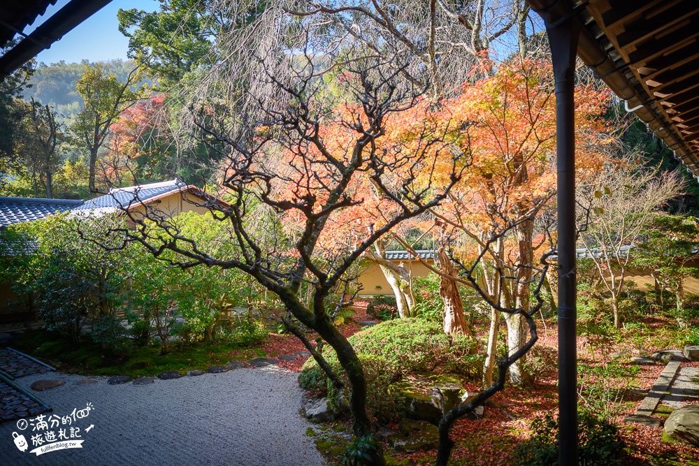 京都景點|光明寺|京都賞楓秘境.免費行李寄放,絕美紅楓步道.繽紛花手水,貓頭鷹寺院超夢幻!