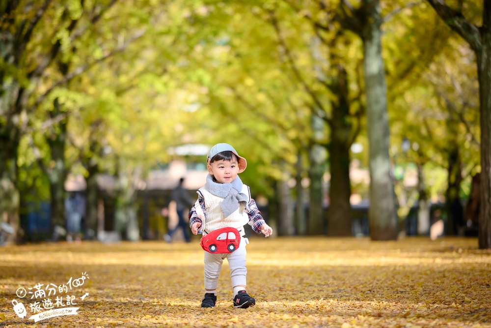 【2024熊本必去景點推薦】10個熊本景點一日遊,第一次玩熊本就上手,熊本美食住宿攻略包!