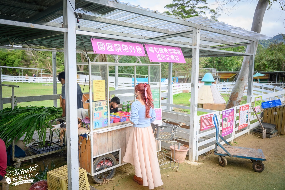 桃園大溪景點【富田花園農場】笑笑羊出沒.餵小豬.小羊.草泥馬,水上玻璃教堂浪漫又好拍!