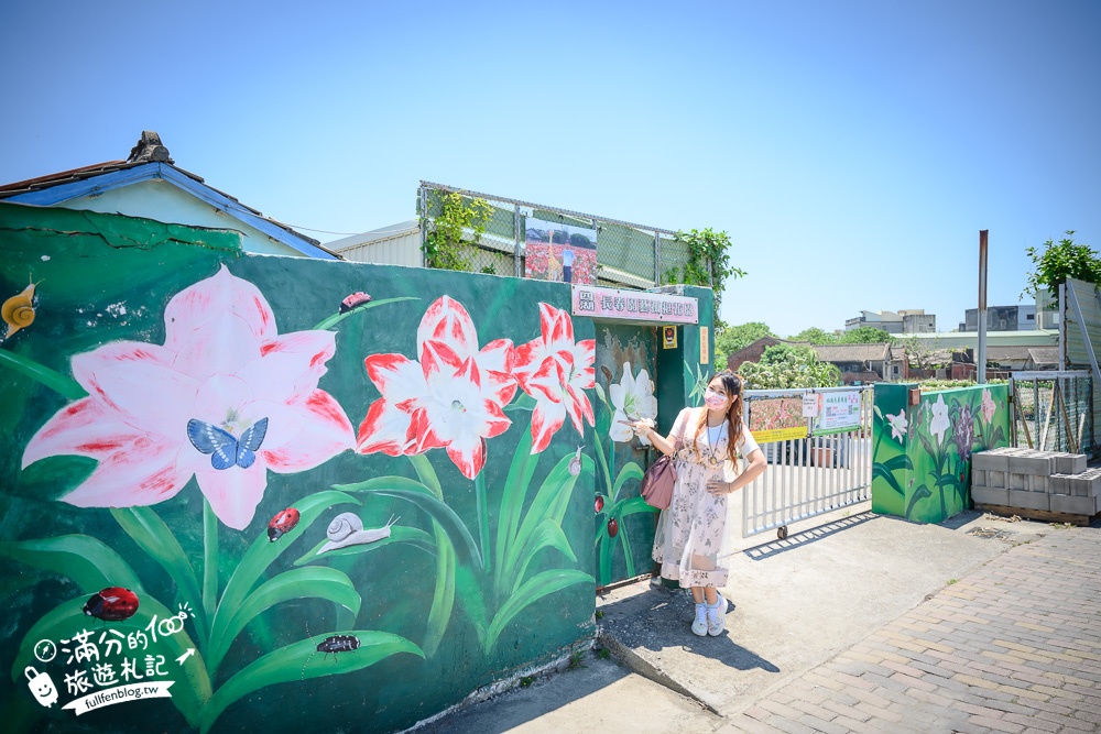 雲林景點|四湖長春園藝孤挺花園|銅板價門票,繽紛彩色花海.愛心樹~浪漫賞花美拍趣!