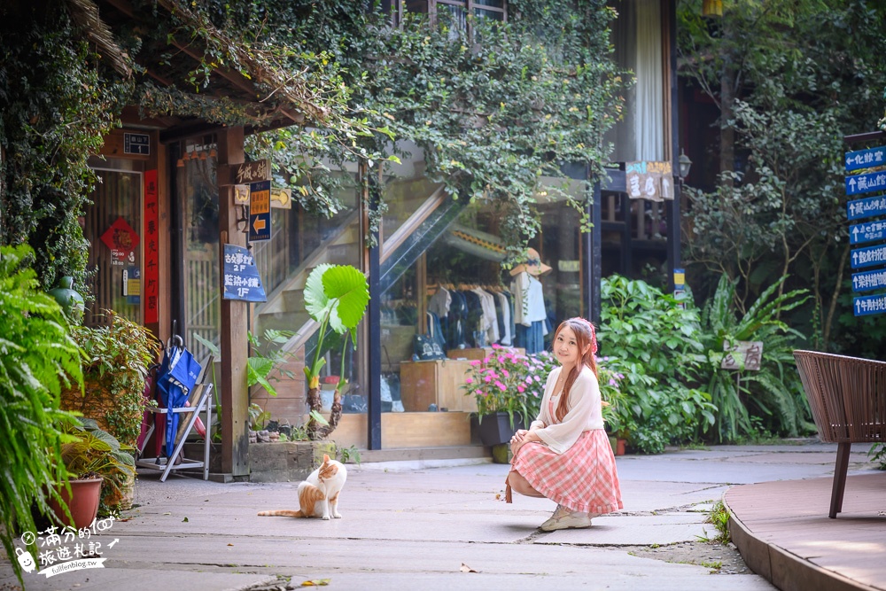 苗栗景點|卓也小屋最新星空泡泡屋|一泊一食.早餐自助吧~與森林風眠,晚上還能看星空!