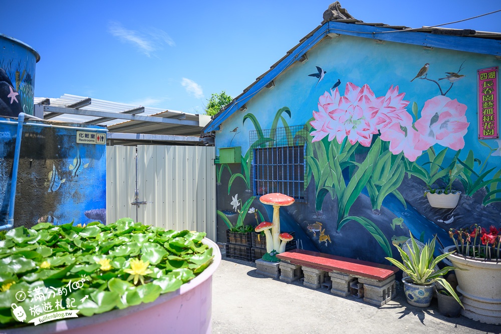 雲林景點|四湖長春園藝孤挺花園|銅板價門票,繽紛彩色花海.愛心樹~浪漫賞花美拍趣!