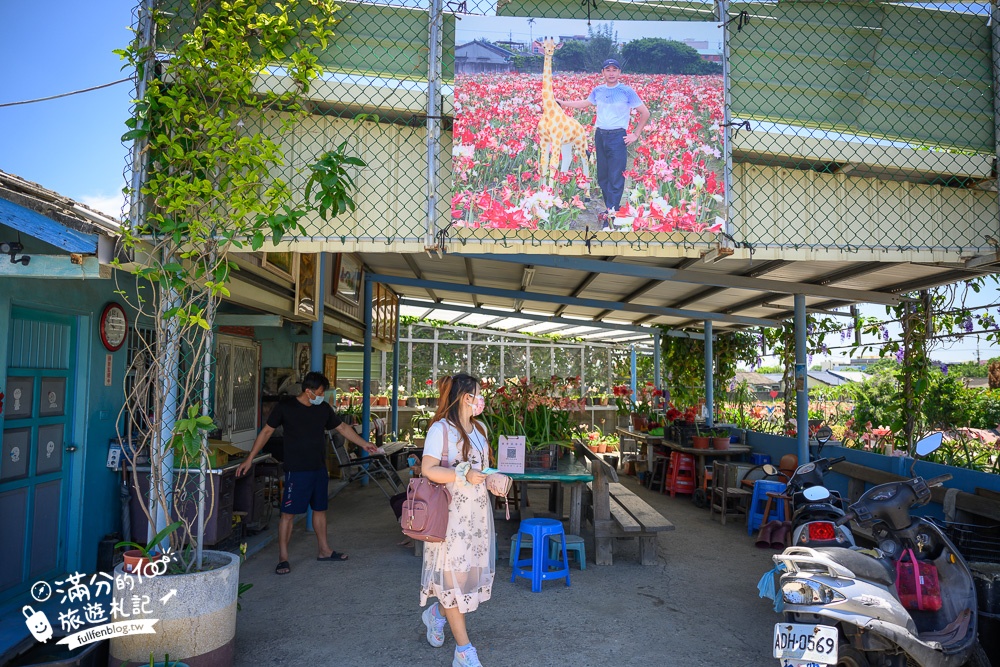 雲林景點|四湖長春園藝孤挺花園|銅板價門票,繽紛彩色花海.愛心樹~浪漫賞花美拍趣!