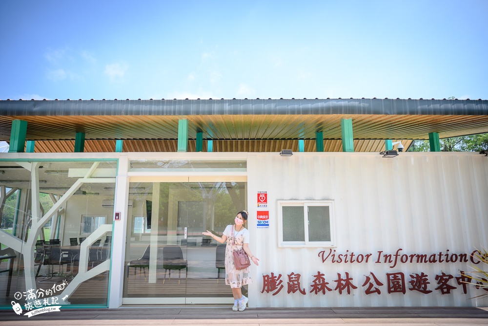 雲林景點|斗六膨鼠森林公園(免門票)松鼠主題公園|超欠拍~巨無霸松果溜滑梯和彩色松鼠童趣十足!