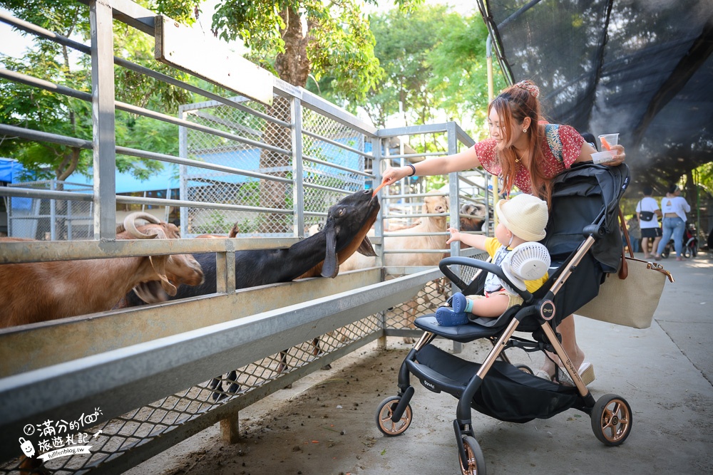 台南景點【樹谷農場】最新門票資訊.親子同遊餵食小動物好好玩!