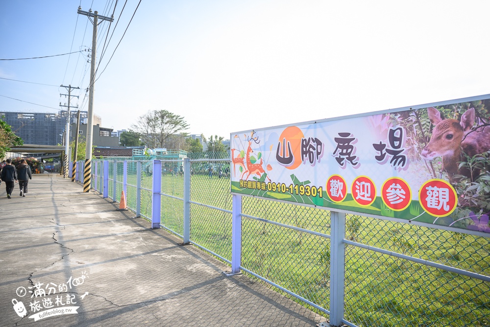 桃園【山腳鹿場水鹿之家】可以看飛機的親子農場.遛梅花鹿.餵水鹿.水豚和泰迪羊好有趣!