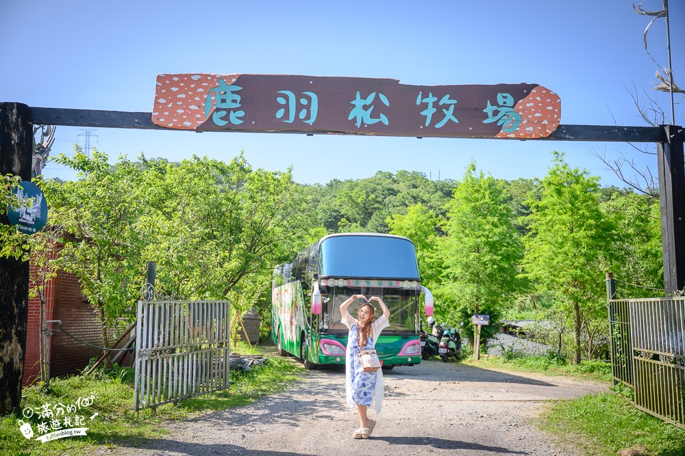 新北【2024鹿羽松牧場】門票資訊.金山熱門休閒農場.小鹿斑比.水豚.羊駝陪你玩,還有無敵海景觀景台!