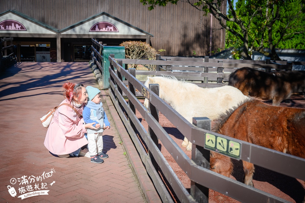 【九州自然動物園】叢林巴士購票玩樂攻略!體驗餵獅子大象和駱駝,還能和長頸鹿合影超震撼!