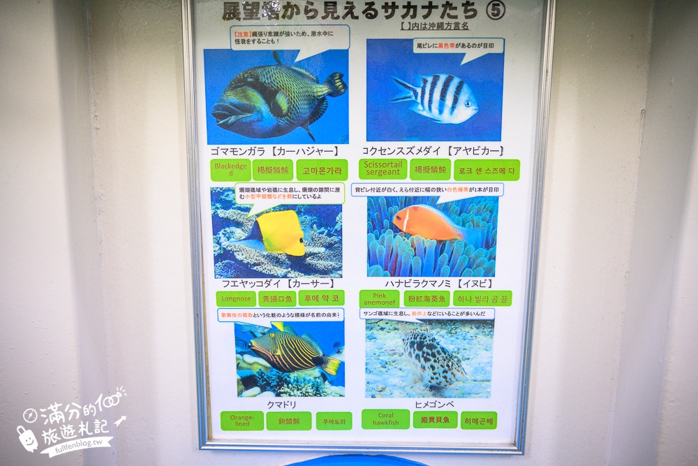 沖繩【海中展望塔】2024部瀬名海中公園必玩360環景圓窗看魚,以及海底玻璃船,沖繩雨天備案景點!