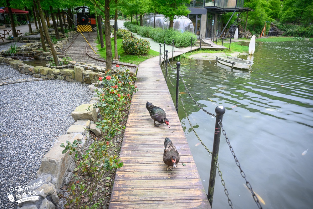 宜蘭【鳳梨屋水上莊園】最新門票資訊,宜蘭親子玩水景點.瀑布鞦韆.彩虹彎月.鳳梨教堂.森林露營，仙氣飄飄~宜蘭版熱帶雨林!