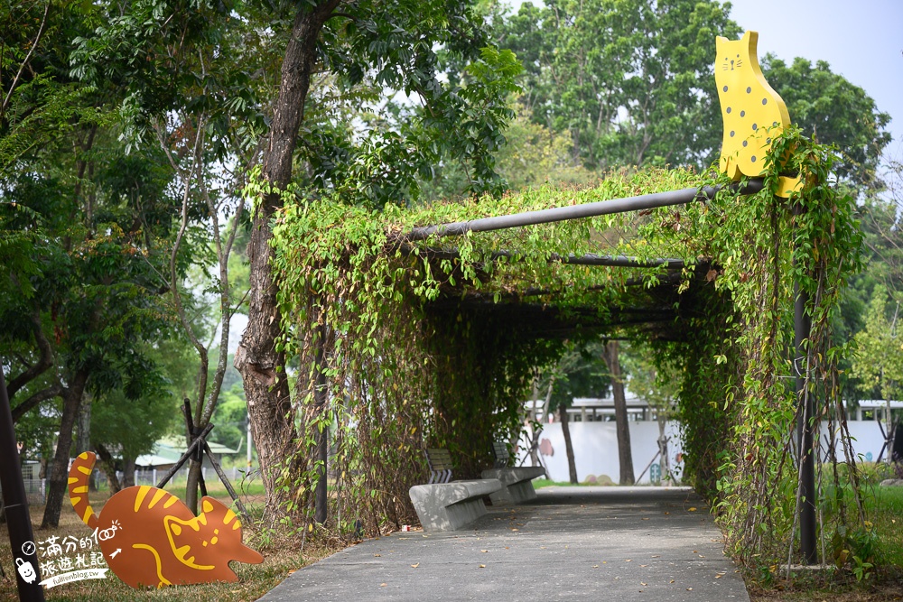 嘉義景點|打貓親子廣場早安公園(免門票)貓咪主題遊戲場.盪鞦韆.溜滑梯.攀岩.貓咪沙坑隨你玩!